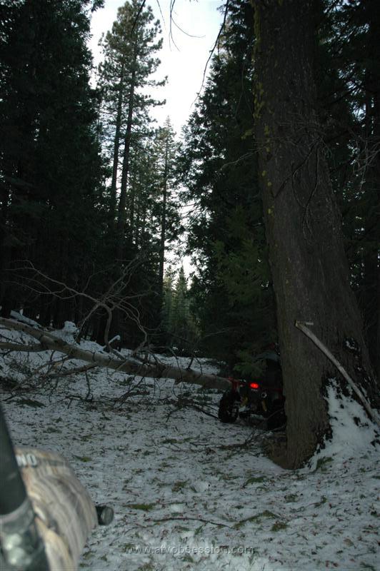60. Then Our Final Obstacle Of the Day, A Group of Downed Trees Across the Road..jpg